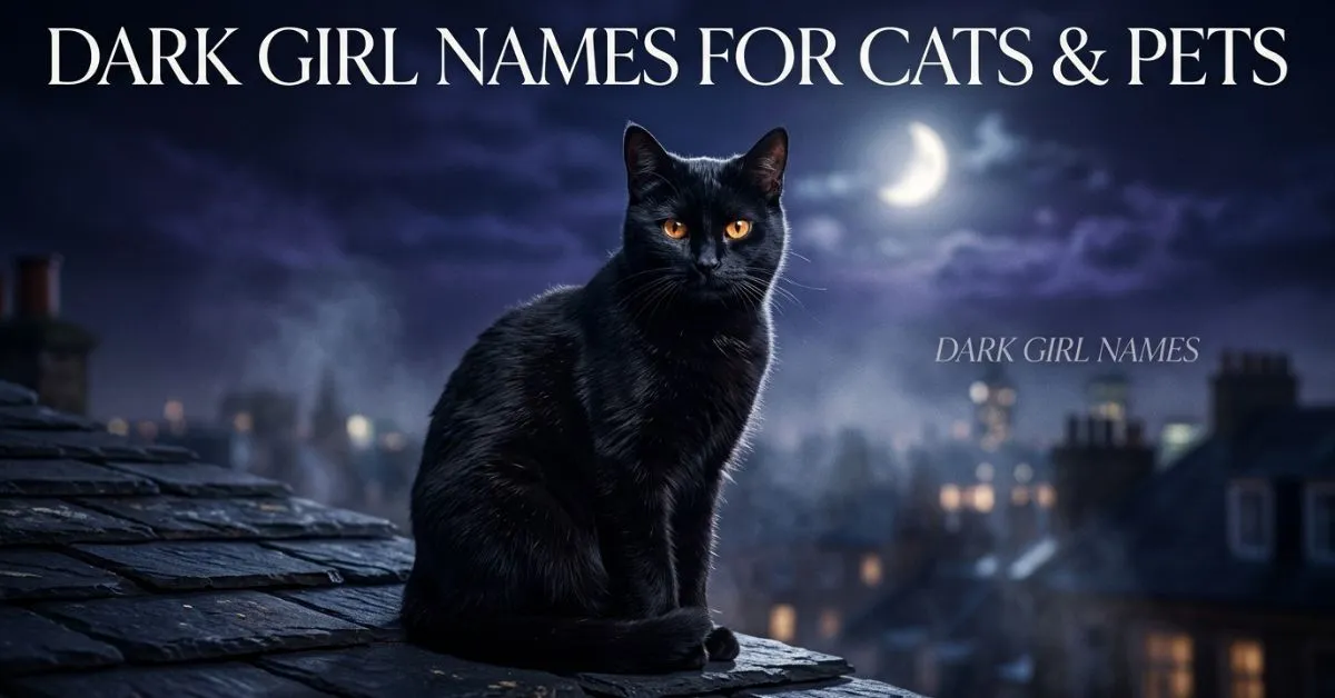 Dark Girl Names For Cats & Pets